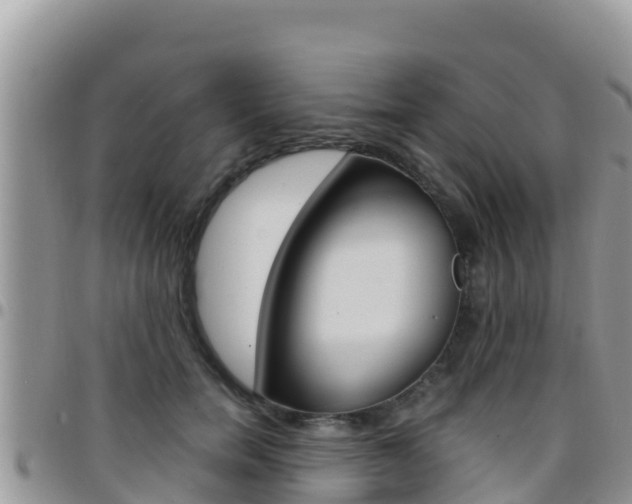 X0000096200750200801181031