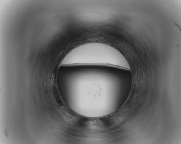 X0000096200752200801181031