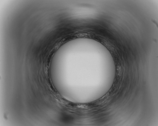 X0000096200753200801181031