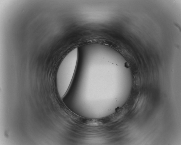 X0000096200754200801181031