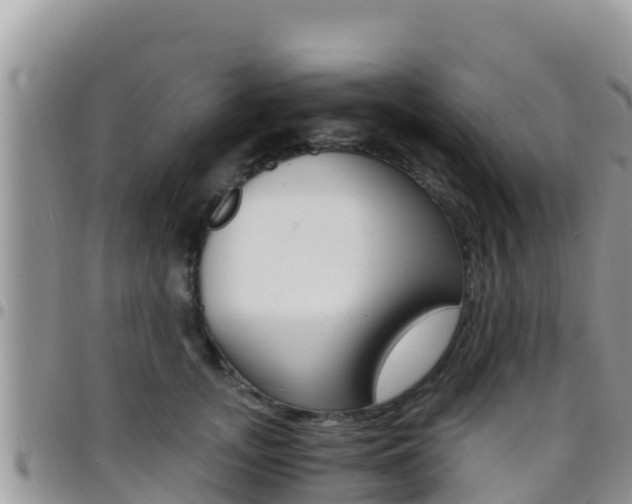 X0000096200755200801181031