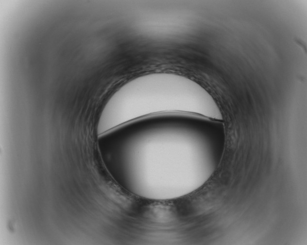X0000096200756200801181031
