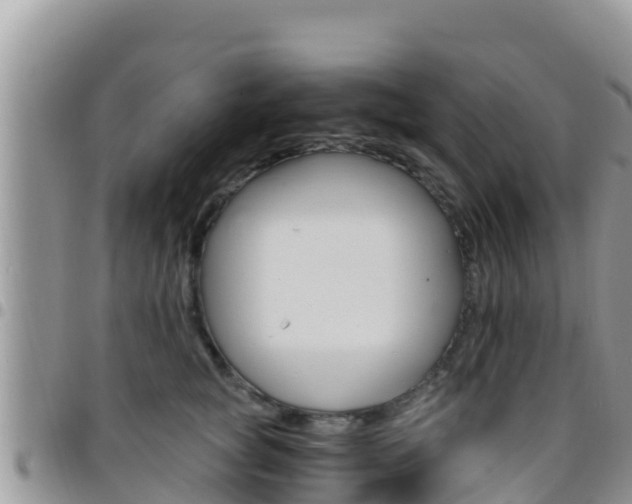 X0000096200757200801181031