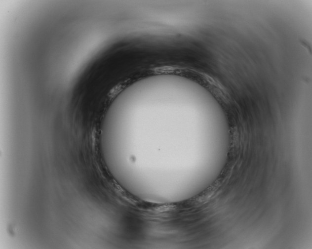 X0000096200761200801181031