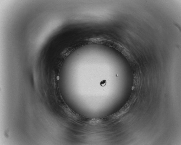 X0000096200762200801181031