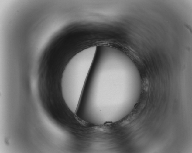 X0000096200763200801181031
