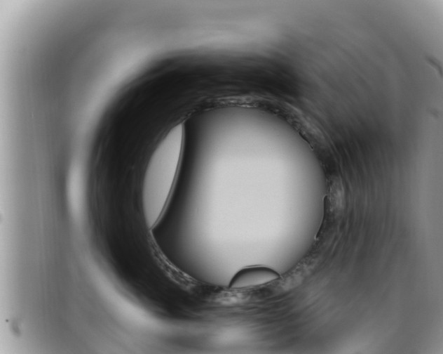 X0000096200764200801181031
