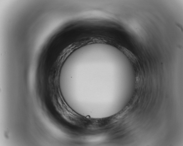 X0000096200765200801181031