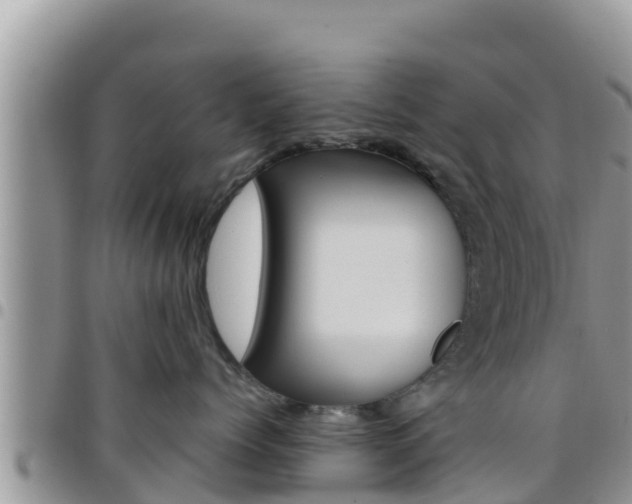 X0000096200768200801181031