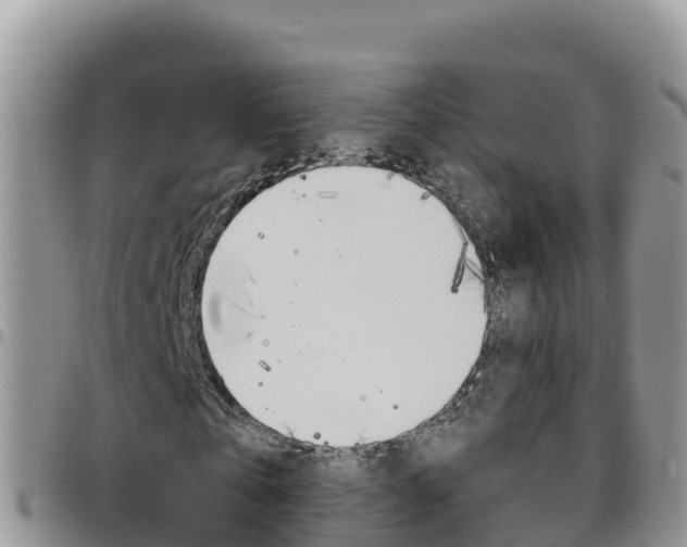 X0000096200769200801181030