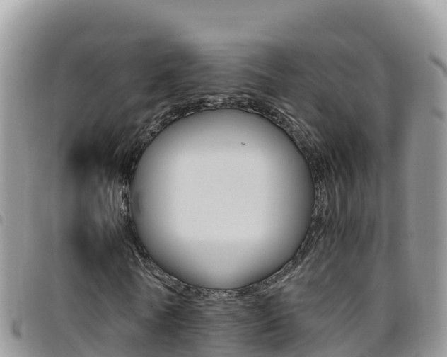 X0000096200770200801181030
