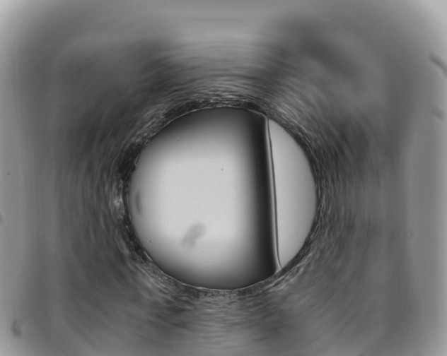 X0000096200771200801181030