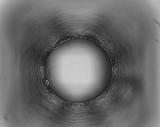 X0000096200772200801181030