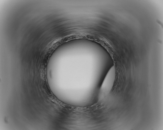 X0000096200773200801181030