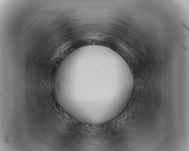 X0000096200774200801181030