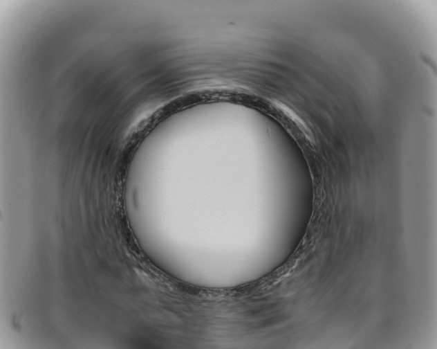 X0000096200775200801181030
