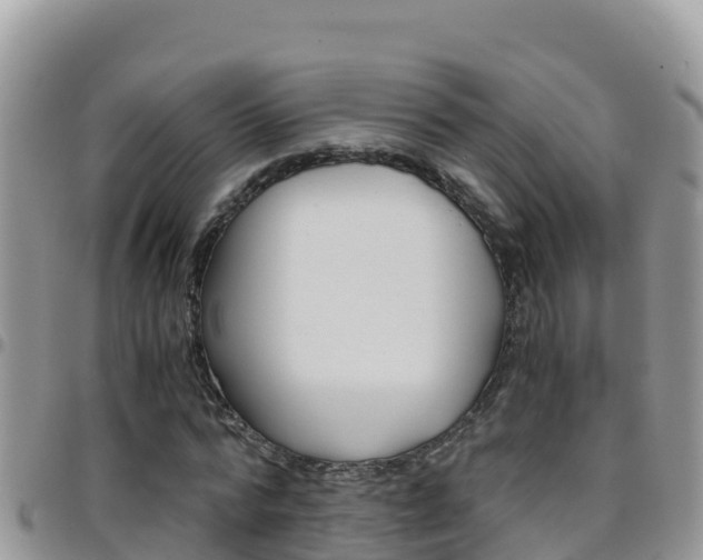 X0000096200776200801181030
