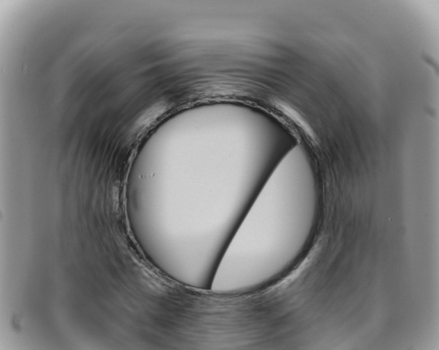 X0000096200777200801181030