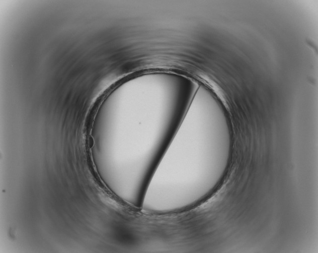 X0000096200779200801181030