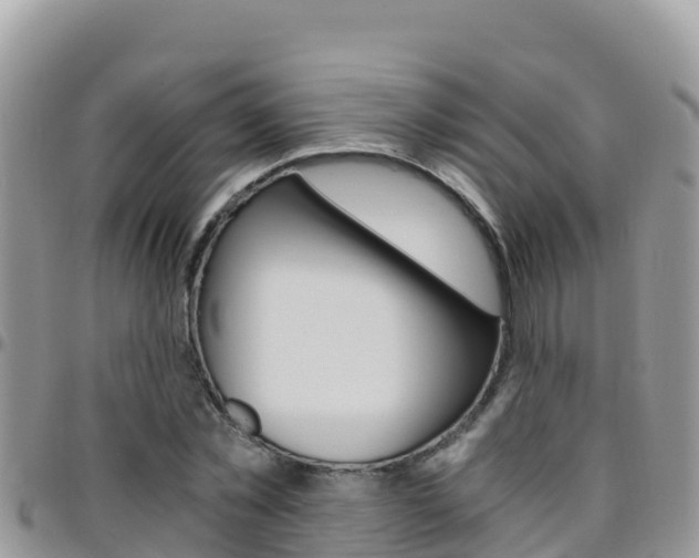 X0000096200781200801181030