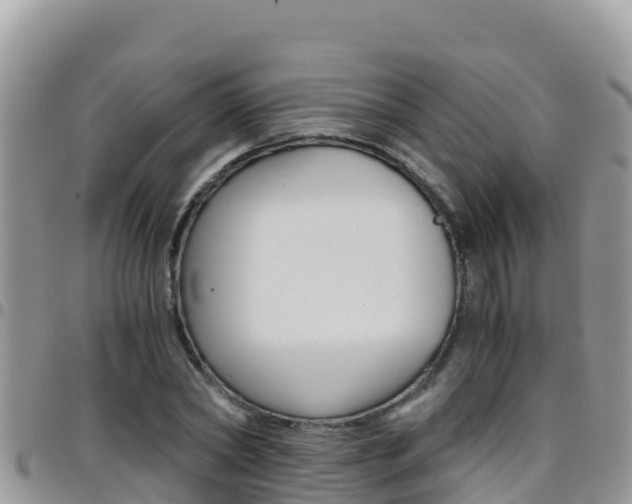 X0000096200782200801181030