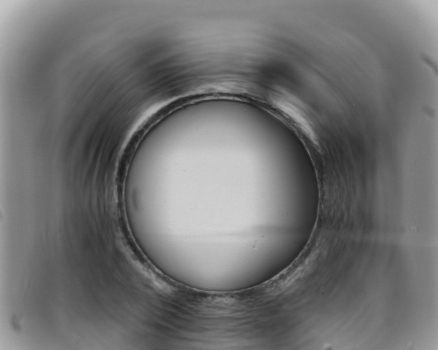 X0000096200784200801181030