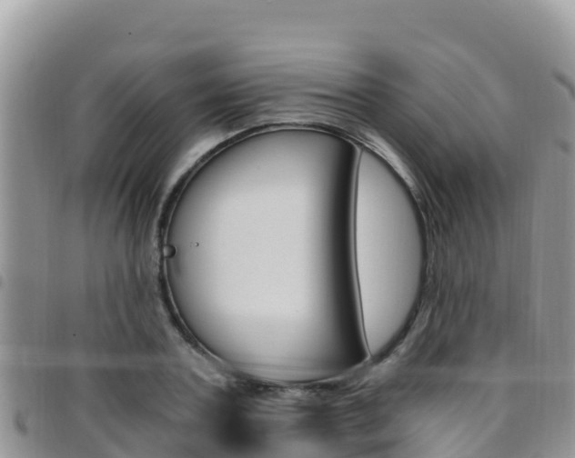 X0000096200787200801181030