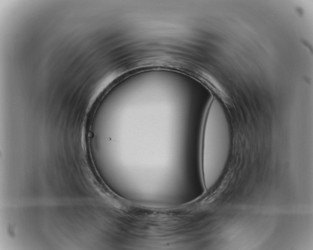 X0000096200788200801181030