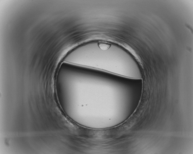 X0000096200791200801181030