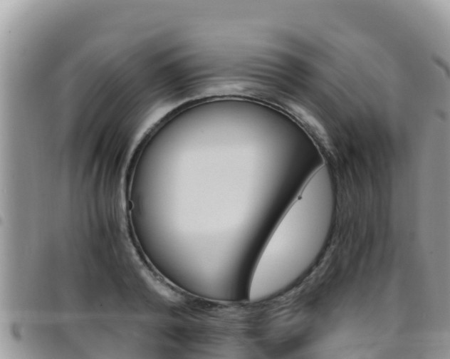 X0000096200792200801181030