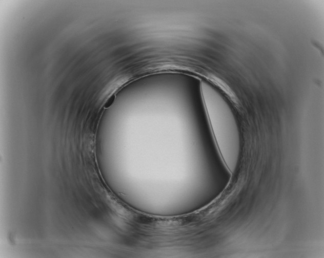 X0000096200793200801181030