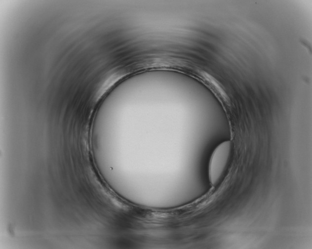 X0000096200794200801181030