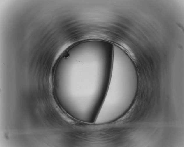 X0000096200796200801181030