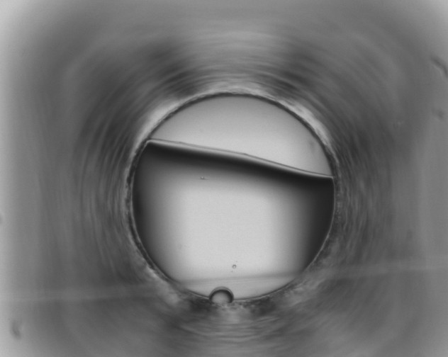 X0000096200799200801181030