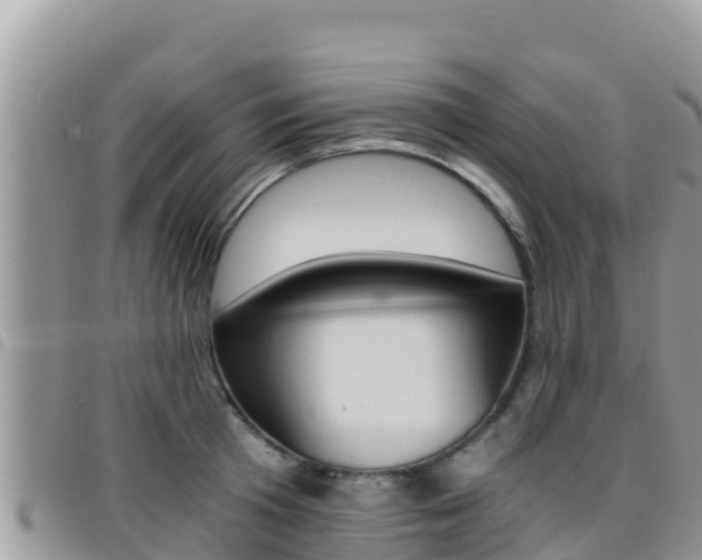 X0000096200801200801181030