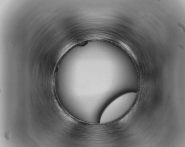 X0000096200802200801181030