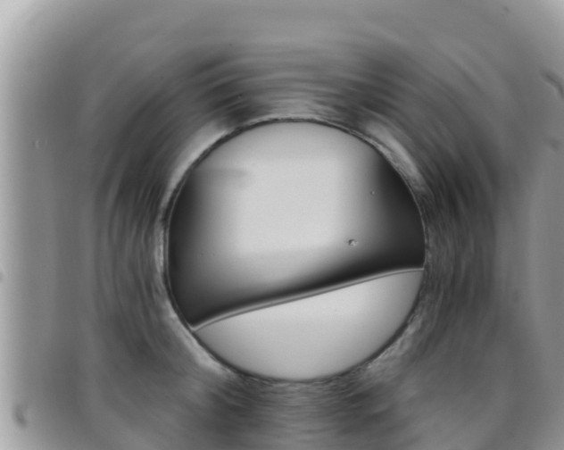 X0000096200804200801181030