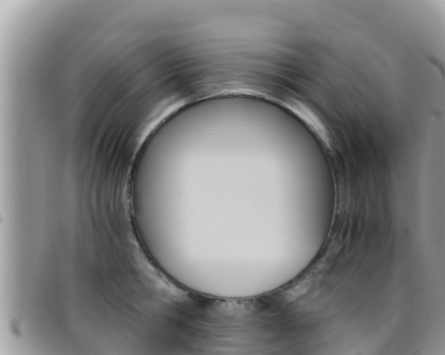 X0000096200806200801181030