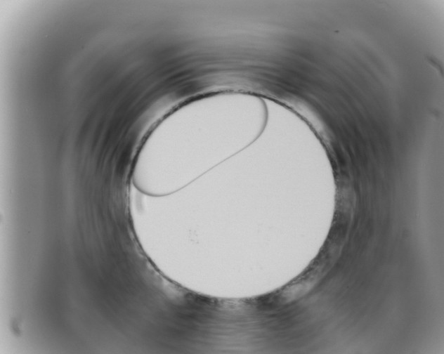 X0000096200807200801181030