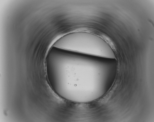 X0000096200808200801181030