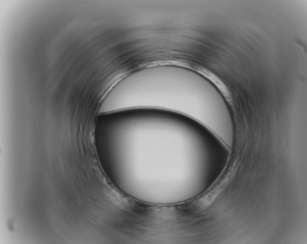 X0000096200809200801181030