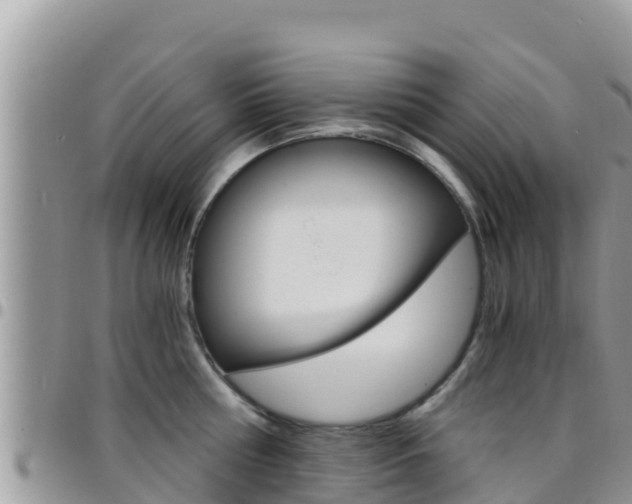 X0000096200810200801181030