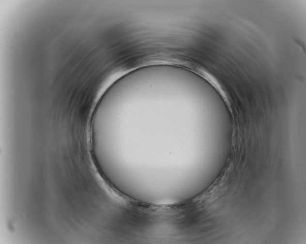 X0000096200811200801181030