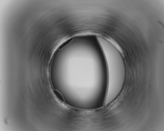X0000096200813200801181030