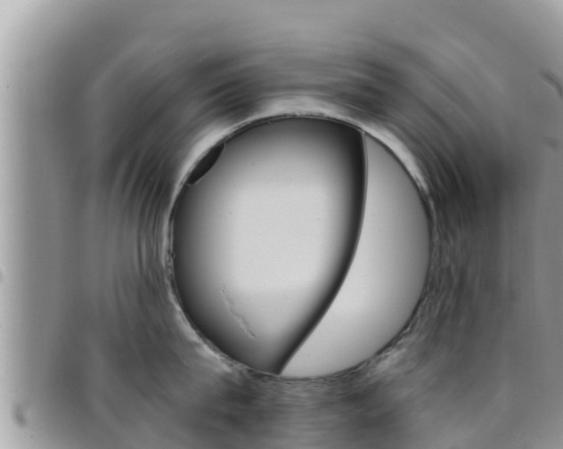 X0000096200815200801181030