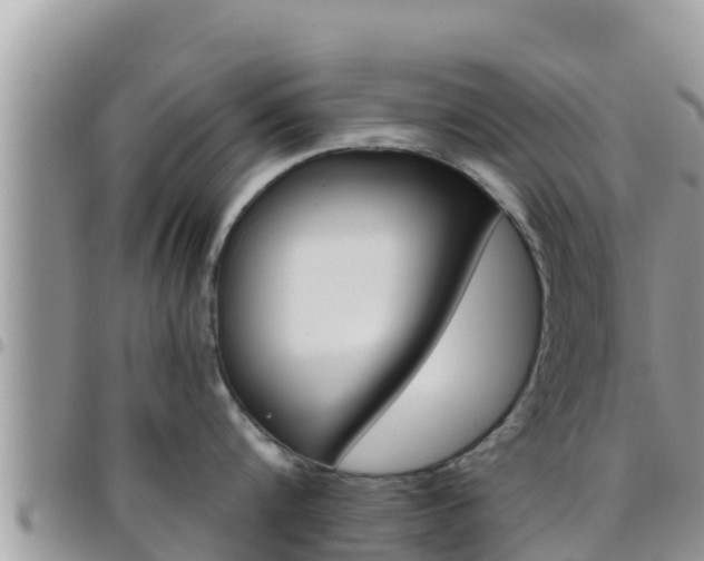 X0000096200816200801181030
