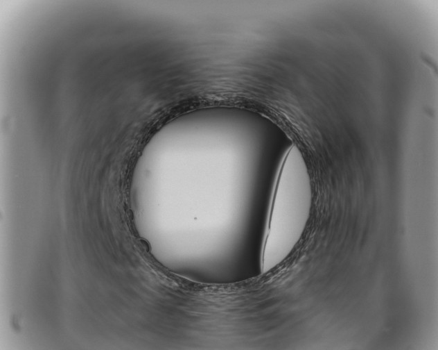 X0000096200817200801181029