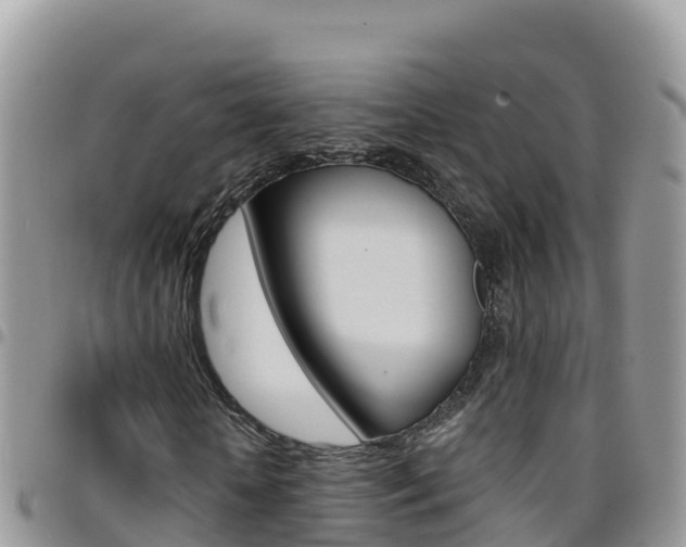 X0000096200818200801181029