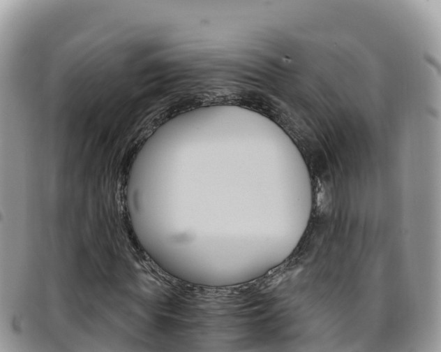 X0000096200819200801181029