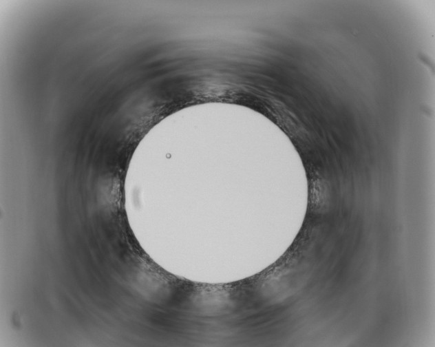 X0000096200820200801181029
